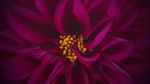 Invitation to Arise